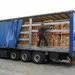 Lex Expeditii Cargo - transport marfa intern si international